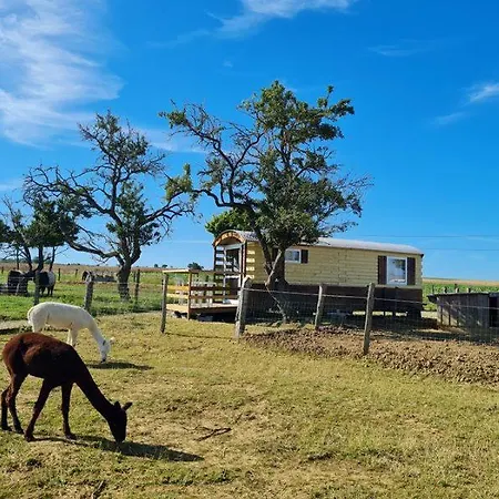 Roulotte Confort Au Milieu Des Animaux *