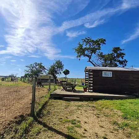 Roulotte Confort Au Milieu Des Animaux *