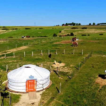 Roulotte Confort Au Milieu Des Animaux Burthecourt-aux-Chenes