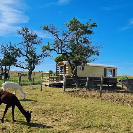 Roulotte Confort Au Milieu Des Animaux Parque de Campismo