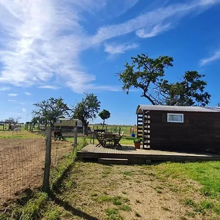 Camping Roulotte Confort Au Milieu Des Animaux *