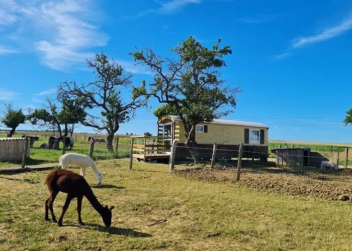 Roulotte Confort Au Milieu Des Animaux *