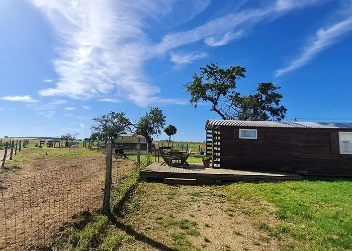 Roulotte Confort Au Milieu Des Animaux *